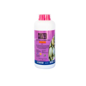 Cruzer 1L